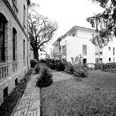 DSC1556