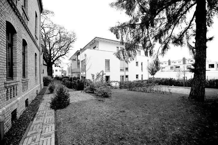 DSC1556